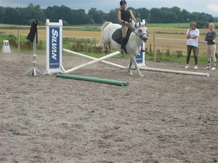 Ridelejr på søborggård 2007 - Så lige silvan springet.. billede 18