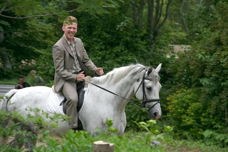 Heste  - Marie da hun var lånt ud til en, der skulle fri til sin kæreste som "prinsen på den hvide hest". Sødt ikke? :} billede 5