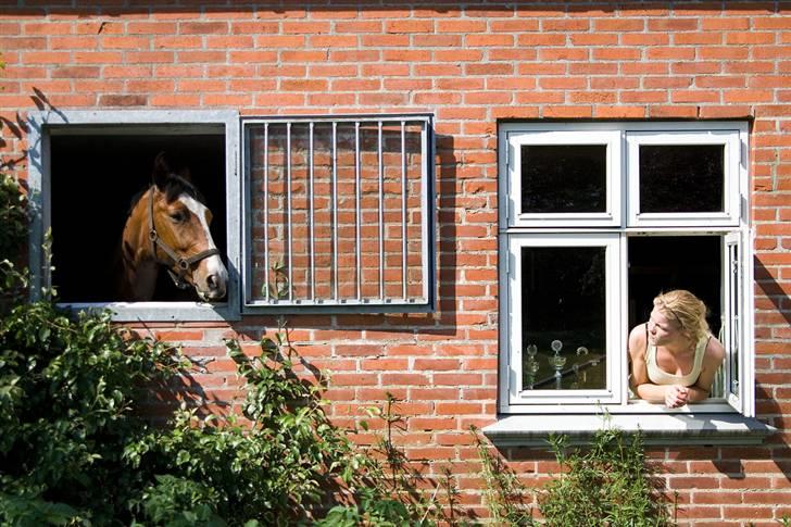Heste  - Midt-West Shadow til venstre - mig til højre ;) Et billede der blev taget til en artikel i bladet All Horse. :b billede 7