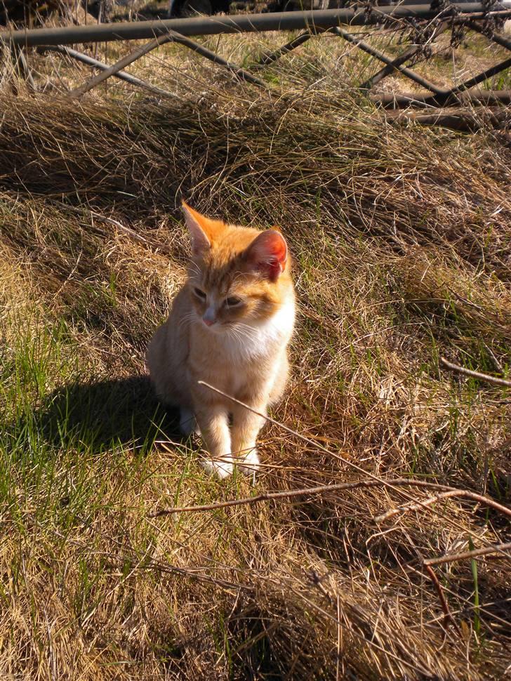 Fede frede:D billede 1