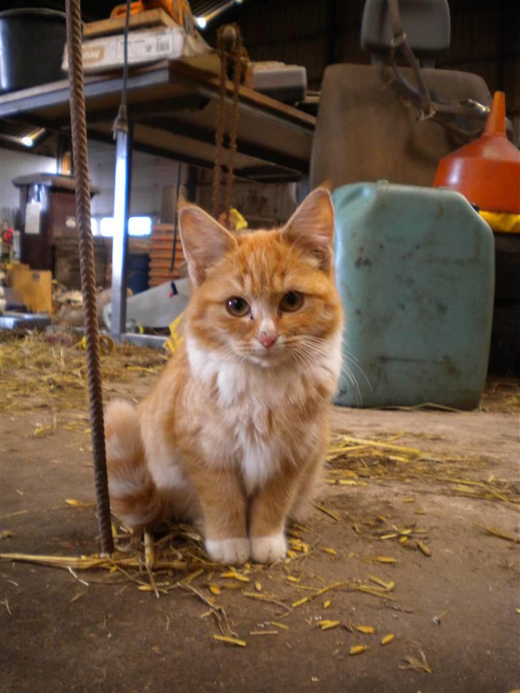 Fede frede:D - Århh;') billede 8