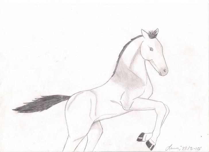 Mine tegninger - Stinne, Stine, Jannie og jeg var til hingsteshow på Finstrupgaard d. 26. marts, '10.
Jeg fik nogle gratis kataloger, hvori der var en masse fotos af heste. På ét af billederne er en hoppe, der har sit føl løbende/springende ved siden af sig.
Det er her føllet, jeg har forsøgt at tegne efter (tegnet ved siden af). Er faktisk meget tilfreds med resultatet :) billede 1