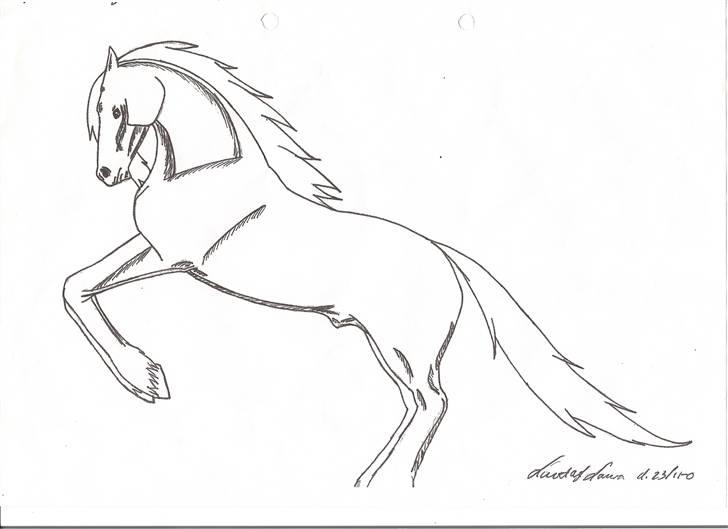 Mine tegninger - Frihåndstegning. billede 5