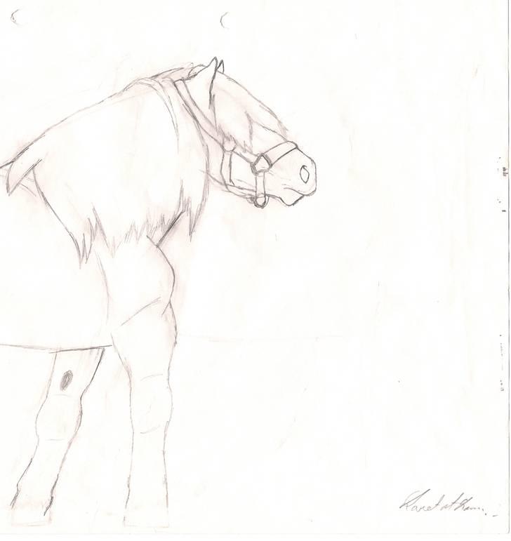 Mine tegninger - Eftertegnet (ved siden af). billede 6