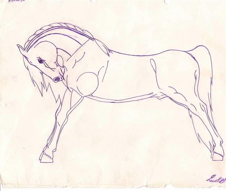 Mine tegninger - Frihåndstegning. billede 9