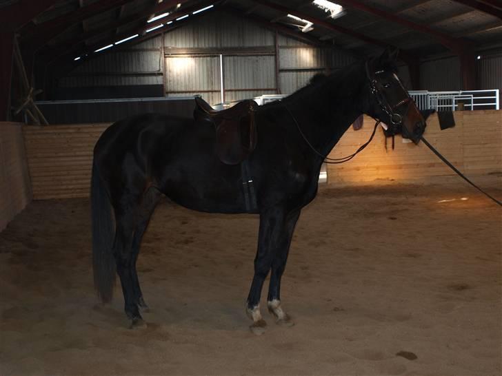 Min 1 tur på lilleskid og hendes nye sadel. billede 2