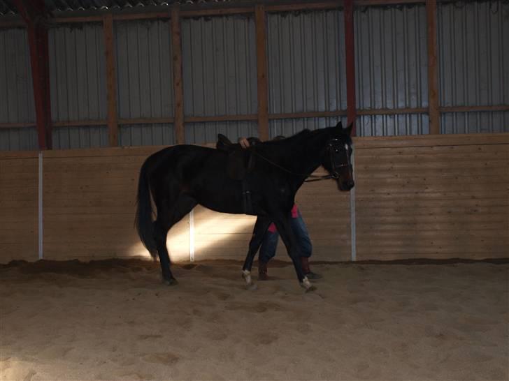 Min 1 tur på lilleskid og hendes nye sadel. billede 4