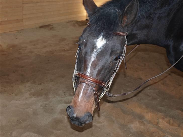 Min 1 tur på lilleskid og hendes nye sadel. billede 8