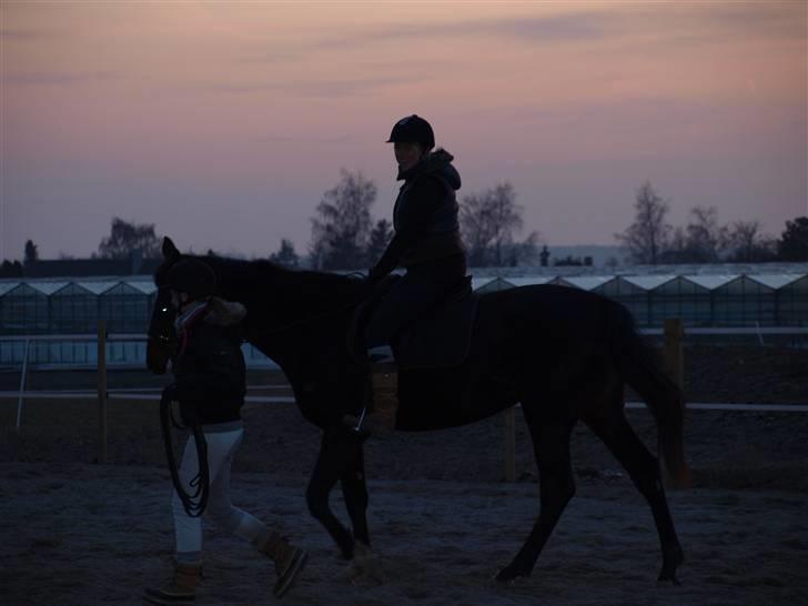 Min 1 tur på lilleskid og hendes nye sadel. billede 11