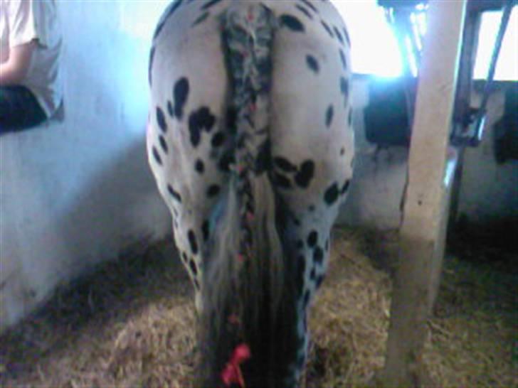 Pippi den lille krikke <3 billede 11