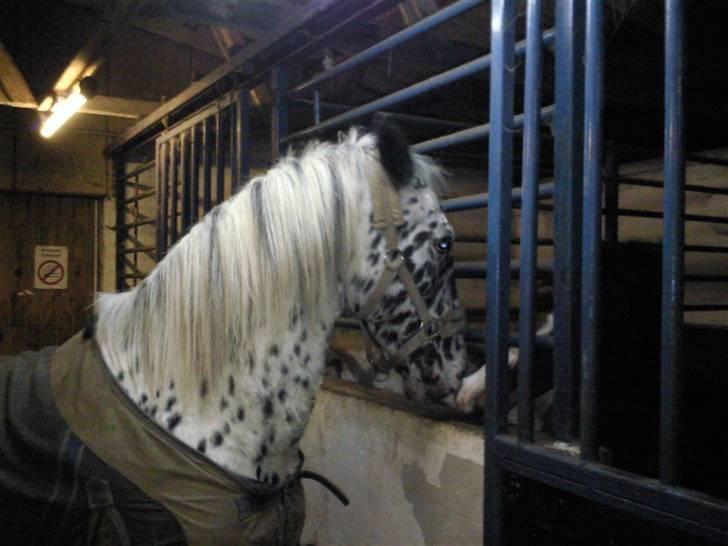 Pippi den lille krikke <3 billede 12