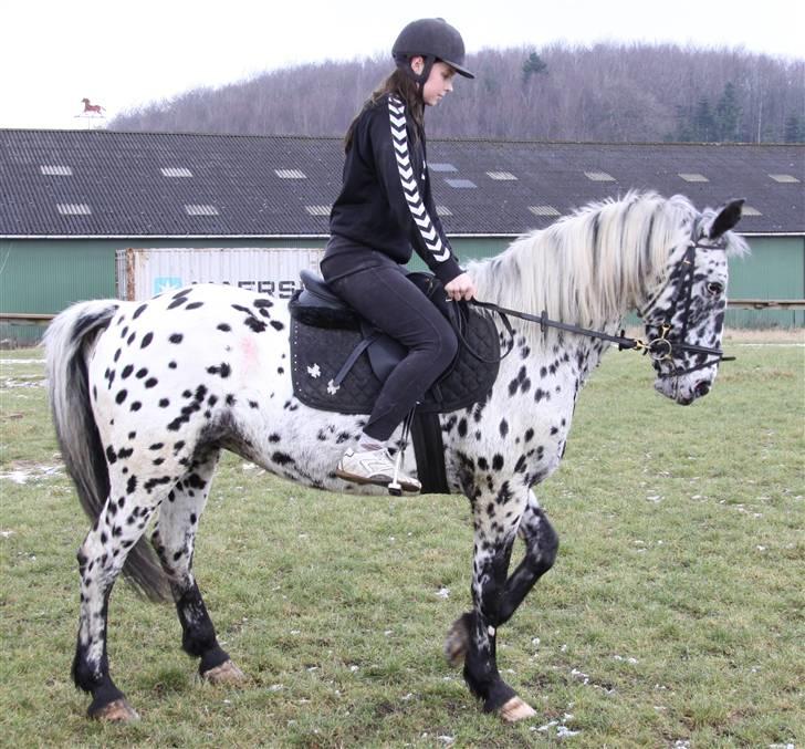 Pippi den lille krikke <3 billede 18