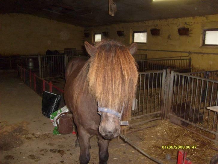 Min konfirmation 2008 :-) billede 1