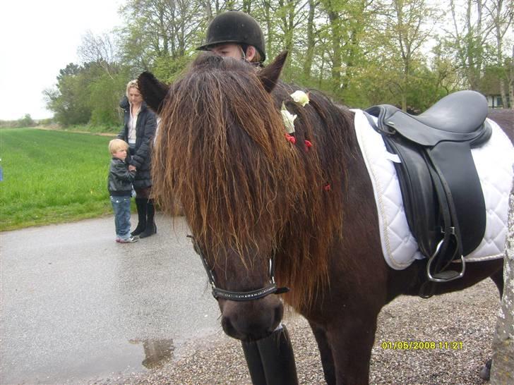 Min konfirmation 2008 :-) billede 5