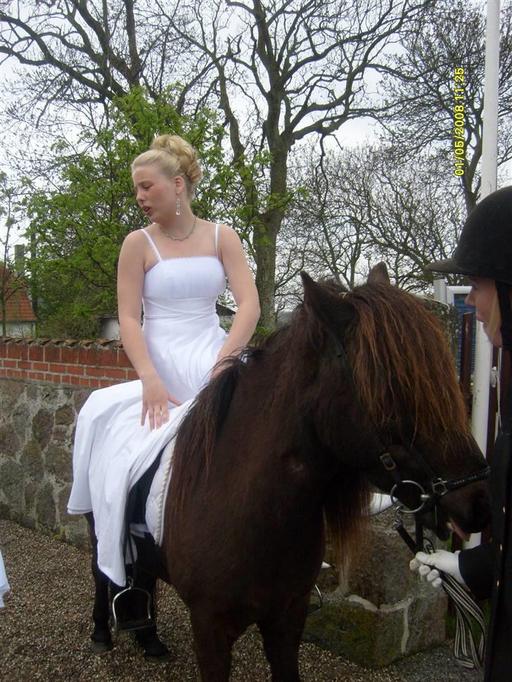 Min konfirmation 2008 :-) - Hesten er smuk, Amalie ligner en mongol. :-P billede 6