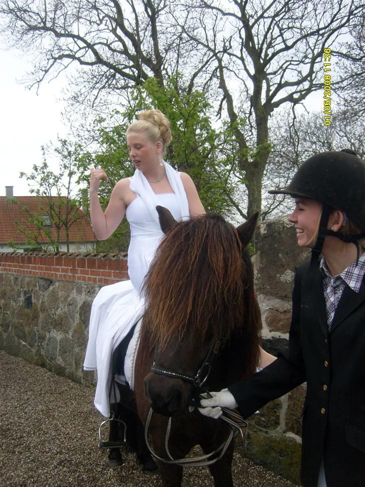 Min konfirmation 2008 :-) - Hesten er smuk, Amalie ligner en mongol! :-P billede 7
