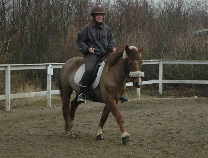Ponyridning! - - samme. billede 3
