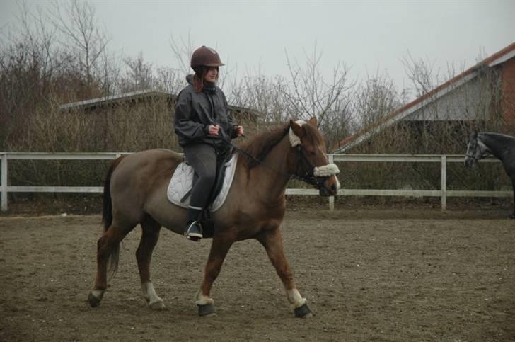 Ponyridning! - - samme. billede 4