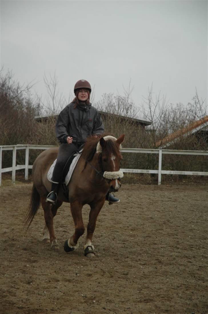 Ponyridning! - - samme. billede 5