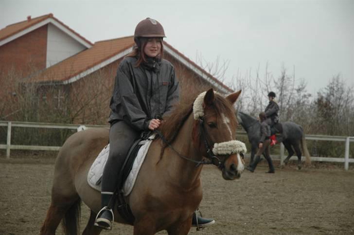 Ponyridning! - TOTAL GODT! <3 billede 6