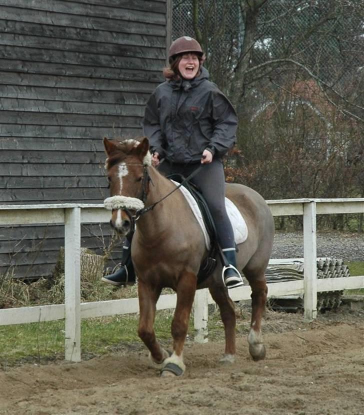 Ponyridning! - - samme. billede 7