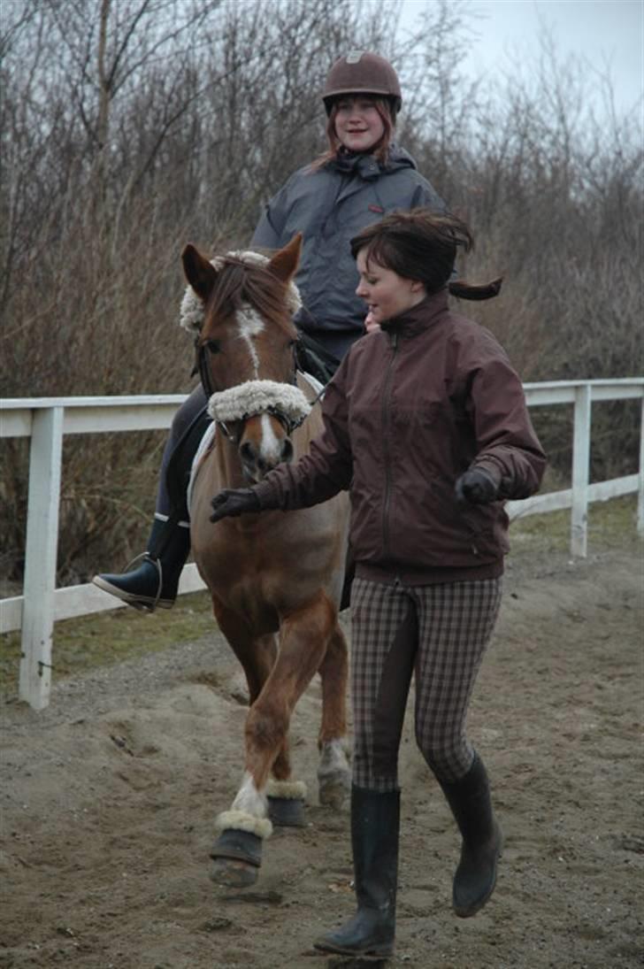 Ponyridning! billede 8