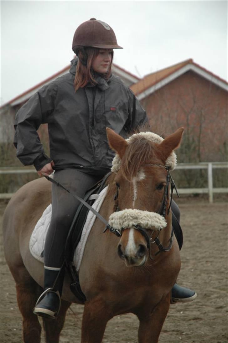 Ponyridning! billede 9