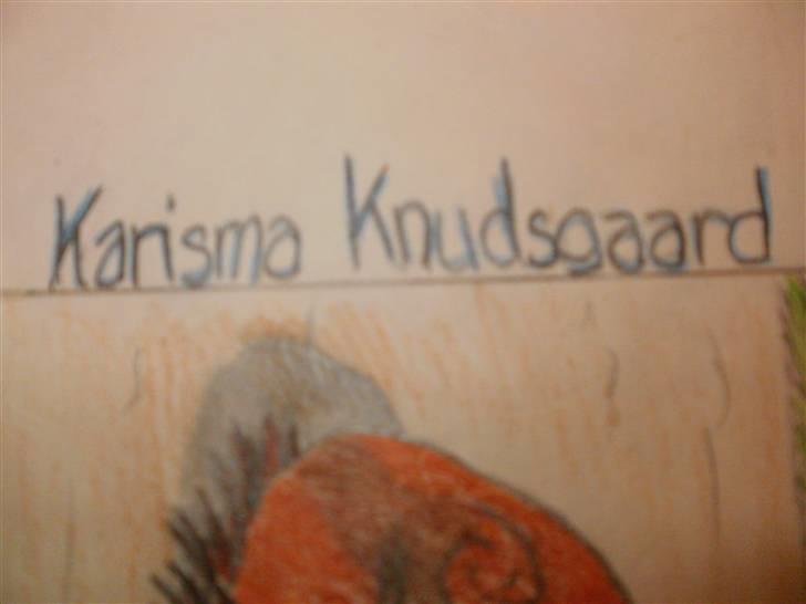 © Mine tegninger :) - Her har jeg tegnet en rullende Karisma :)

Jeg forelskede mig i denne hoppe og ønskede at tegne hende, så jeg henvendte mig til ejeren (som jeg også følger sammen med Karisma) og det var iorden :) så her blev resultatet af den skønne 5års DV hoppe! 

Link: http://hestegalleri.dk/html/gal_visbil.asp?ID=95643

Hun er UDEN tvivl et kig værd! billede 107