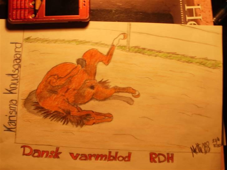 © Mine tegninger :) - Her har jeg tegnet en rullende Karisma :)

Jeg forelskede mig i denne hoppe og ønskede at tegne hende, så jeg henvendte mig til ejeren (som jeg også følger sammen med Karisma) og det var iorden :) så her blev resultatet af den skønne 5års DV hoppe! 

Link: http://hestegalleri.dk/html/gal_visbil.asp?ID=95643

Hun er UDEN tvivl et kig værd! billede 108