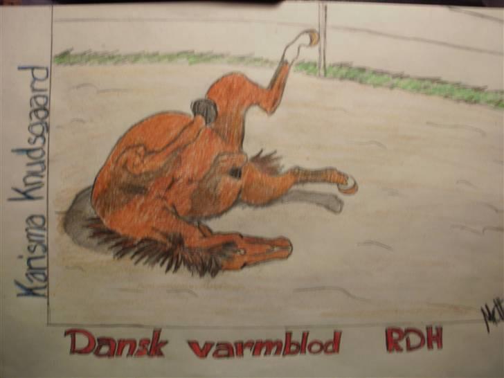 © Mine tegninger :) - Her har jeg tegnet en rullende Karisma :)

Jeg forelskede mig i denne hoppe og ønskede at tegne hende, så jeg henvendte mig til ejeren (som jeg også følger sammen med Karisma) og det var iorden :) så her blev resultatet af den skønne 5års DV hoppe! 

Link: http://hestegalleri.dk/html/gal_visbil.asp?ID=95643

Hun er UDEN tvivl et kig værd! billede 109