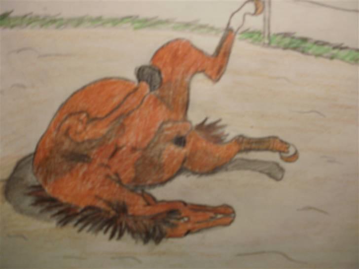 © Mine tegninger :) - Her har jeg tegnet en rullende Karisma :)

Jeg forelskede mig i denne hoppe og ønskede at tegne hende, så jeg henvendte mig til ejeren (som jeg også følger sammen med Karisma) og det var iorden :) så her blev resultatet af den skønne 5års DV hoppe! 

Link: http://hestegalleri.dk/html/gal_visbil.asp?ID=95643

Hun er UDEN tvivl et kig værd! billede 110