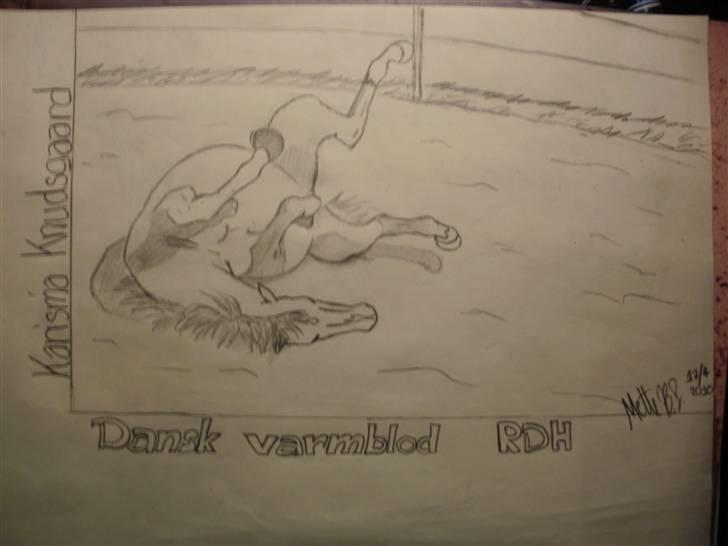 © Mine tegninger :) - Her har jeg tegnet en rullende Karisma :)

Jeg forelskede mig i denne hoppe og ønskede at tegne hende, så jeg henvendte mig til ejeren (som jeg også følger sammen med Karisma) og det var iorden :) så her blev resultatet af den skønne 5års DV hoppe! 

Link: http://hestegalleri.dk/html/gal_visbil.asp?ID=95643

Hun er UDEN tvivl et kig værd! billede 111