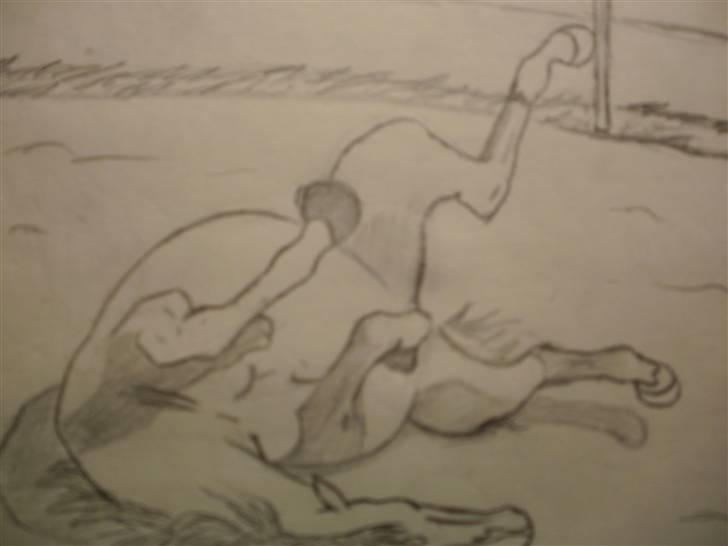 © Mine tegninger :) - Her har jeg tegnet en rullende Karisma :)

Jeg forelskede mig i denne hoppe og ønskede at tegne hende, så jeg henvendte mig til ejeren (som jeg også følger sammen med Karisma) og det var iorden :) så her blev resultatet af den skønne 5års DV hoppe! 

Link: http://hestegalleri.dk/html/gal_visbil.asp?ID=95643

Hun er UDEN tvivl et kig værd! billede 112