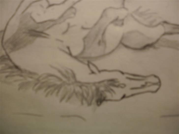 © Mine tegninger :) - Her har jeg tegnet en rullende Karisma :)

Jeg forelskede mig i denne hoppe og ønskede at tegne hende, så jeg henvendte mig til ejeren (som jeg også følger sammen med Karisma) og det var iorden :) så her blev resultatet af den skønne 5års DV hoppe! 

Link: http://hestegalleri.dk/html/gal_visbil.asp?ID=95643

Hun er UDEN tvivl et kig værd! billede 113