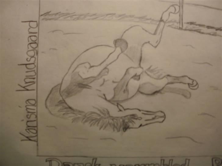 © Mine tegninger :) - Her har jeg tegnet en rullende Karisma :)

Jeg forelskede mig i denne hoppe og ønskede at tegne hende, så jeg henvendte mig til ejeren (som jeg også følger sammen med Karisma) og det var iorden :) så her blev resultatet af den skønne 5års DV hoppe! 

Link: http://hestegalleri.dk/html/gal_visbil.asp?ID=95643

Hun er UDEN tvivl et kig værd! billede 114