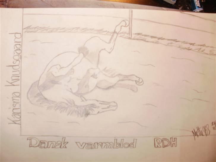 © Mine tegninger :) - Her har jeg tegnet en rullende Karisma :)

Jeg forelskede mig i denne hoppe og ønskede at tegne hende, så jeg henvendte mig til ejeren (som jeg også følger sammen med Karisma) og det var iorden :) så her blev resultatet af den skønne 5års DV hoppe! 

Link: http://hestegalleri.dk/html/gal_visbil.asp?ID=95643

Hun er UDEN tvivl et kig værd! billede 115