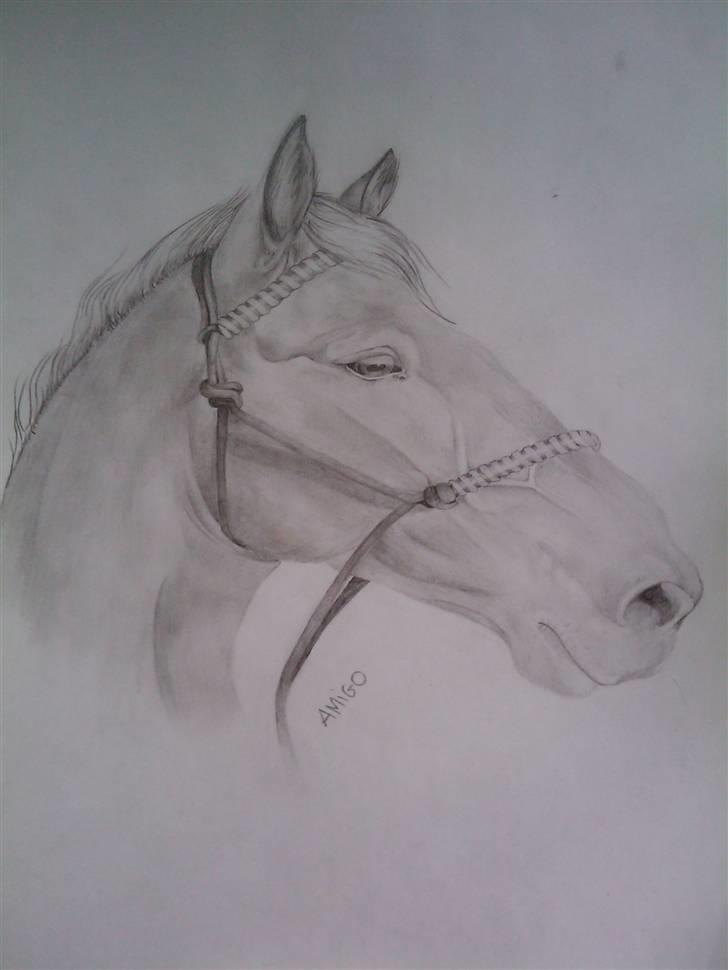 .. Tegninger :) | Åben for bestillinger. - Amigo. Tegning til Tine :) er utrolig stolt af denne. billede 1