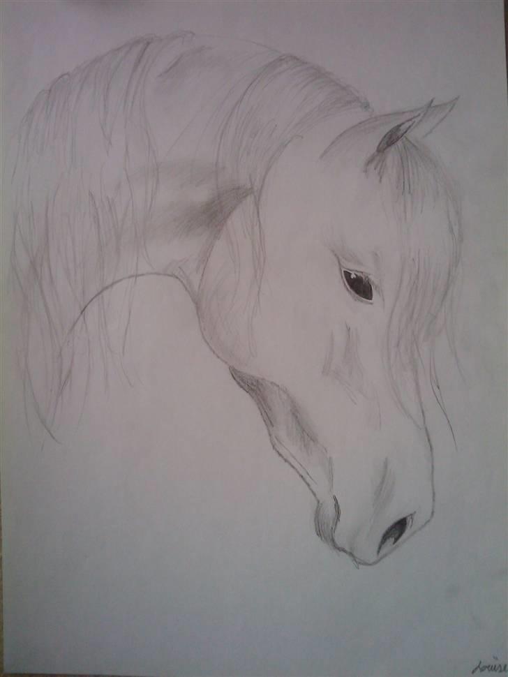 .. Tegninger :) | Åben for bestillinger. - Lettere skitse af hest. billede 2