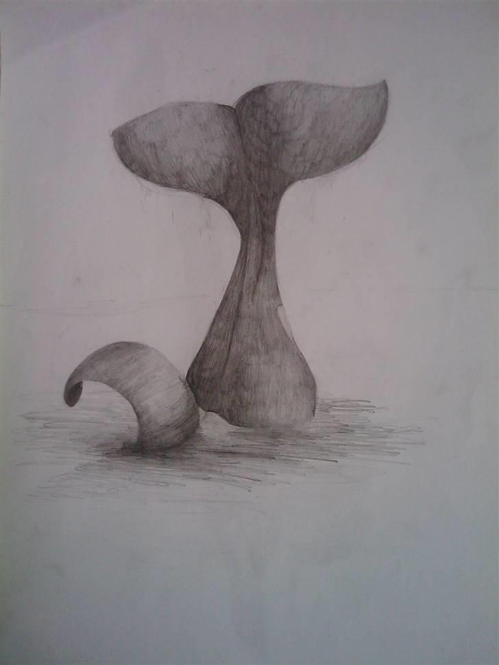 .. Tegninger :) | Åben for bestillinger. - Spækhugger. ikke helt færdig. billede 4