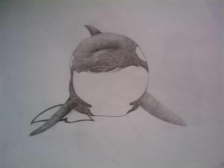 .. Tegninger :) | Åben for bestillinger. - Spækhugger. billede 5