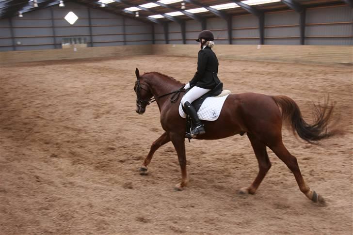 Første stævne, Rideklub Vestsjælland, LC3 billede 1