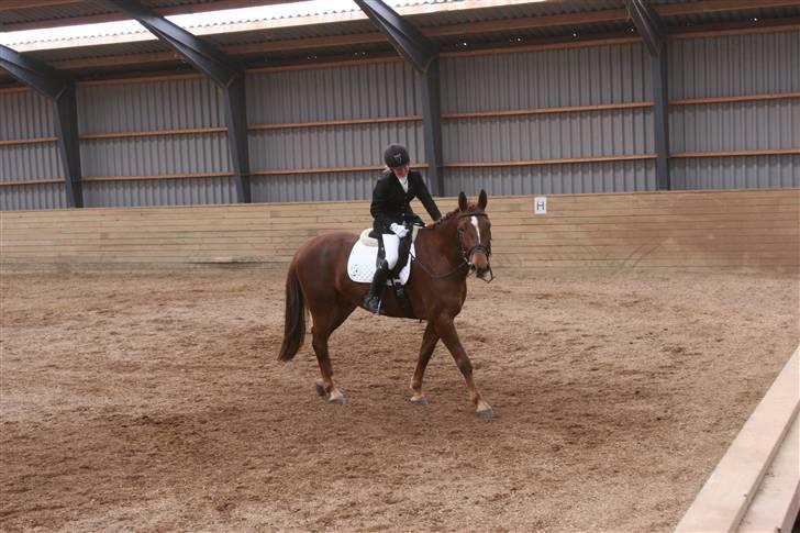 Første stævne, Rideklub Vestsjælland, LC3 billede 2