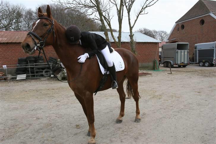 Første stævne, Rideklub Vestsjælland, LC3 billede 3