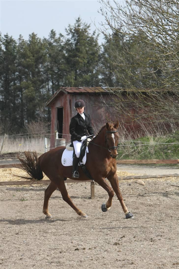 Første stævne, Rideklub Vestsjælland, LC3 billede 5