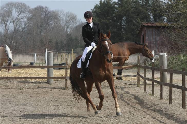 Første stævne, Rideklub Vestsjælland, LC3 billede 7