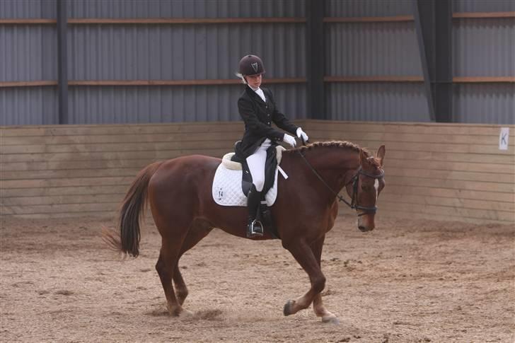 Første stævne, Rideklub Vestsjælland, LC3 billede 8