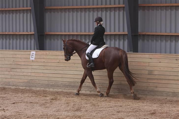 Første stævne, Rideklub Vestsjælland, LC3 billede 9