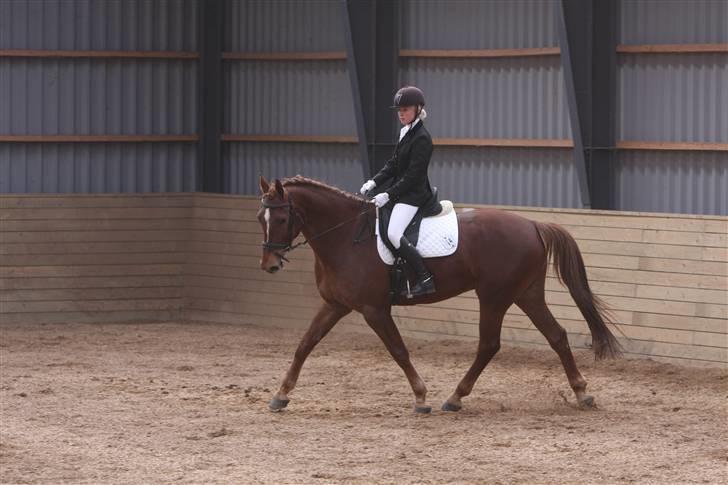 Første stævne, Rideklub Vestsjælland, LC3 billede 10