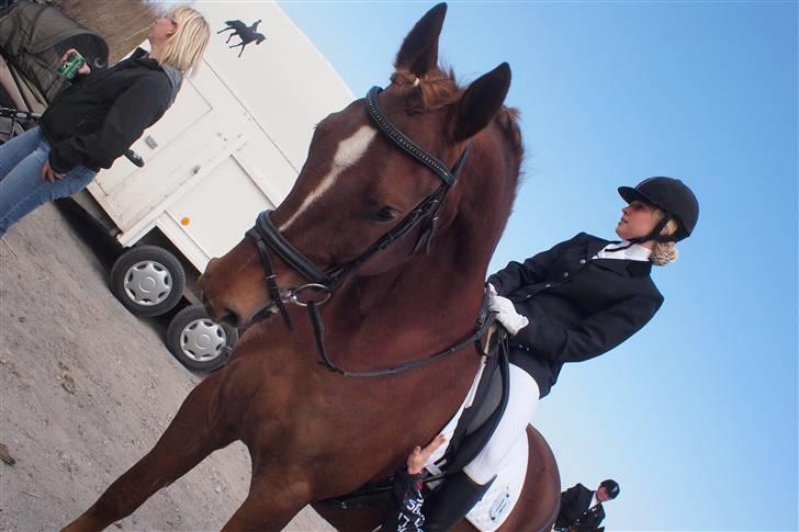 Første stævne, Rideklub Vestsjælland, LC3 billede 13