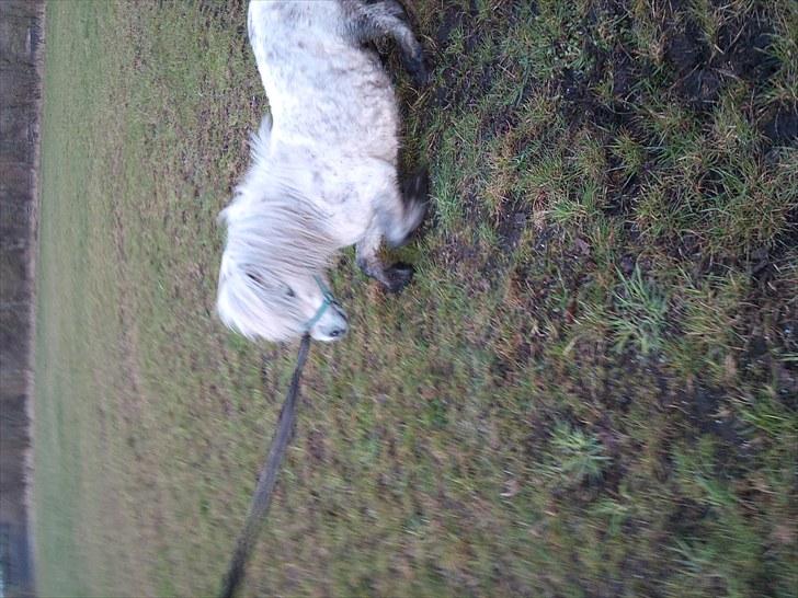 KASTERATION billede 2